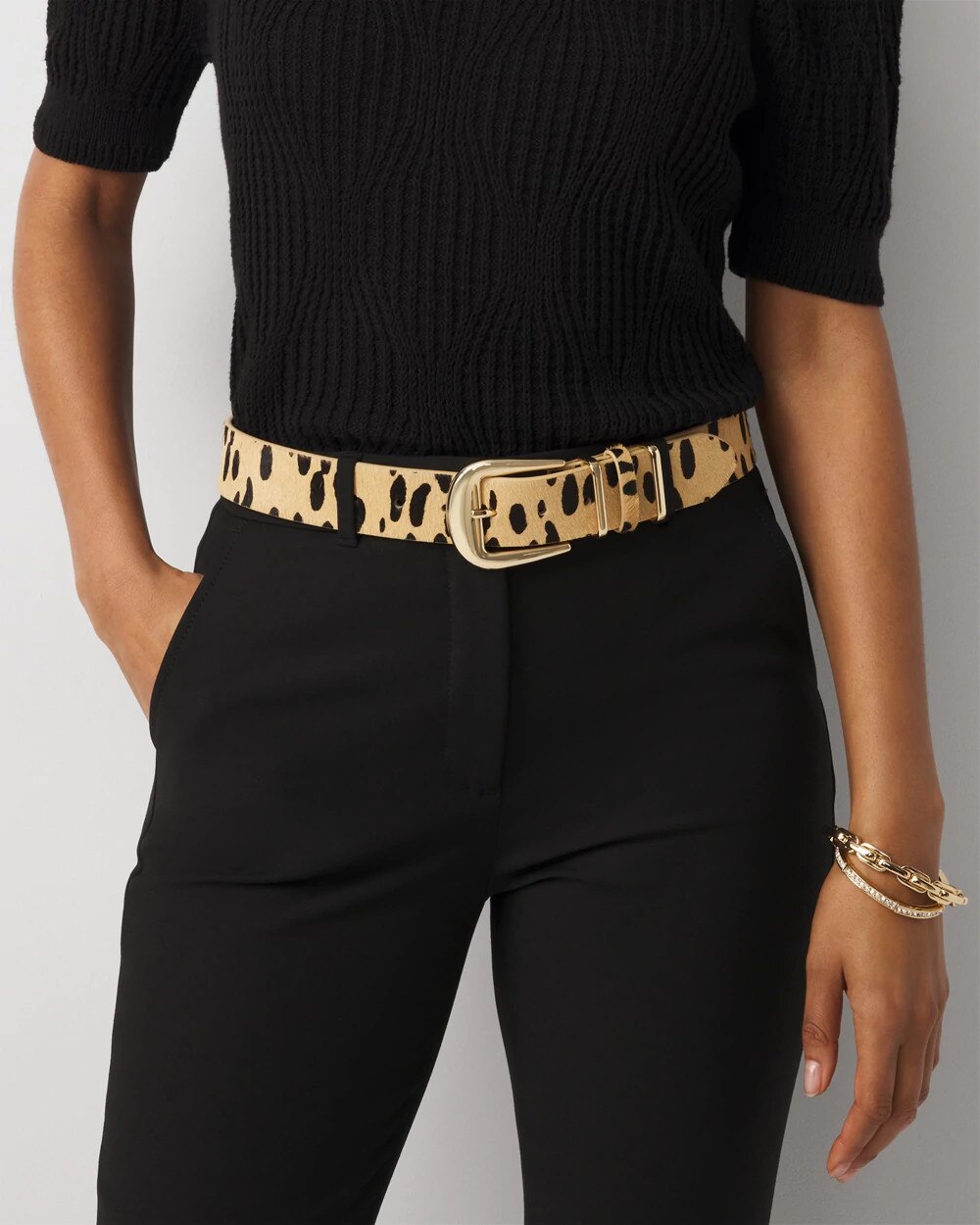 WHBM_Dotted20Haircalf20Belt_570404547_NEU007351_OF_MAIN-1.jpeg