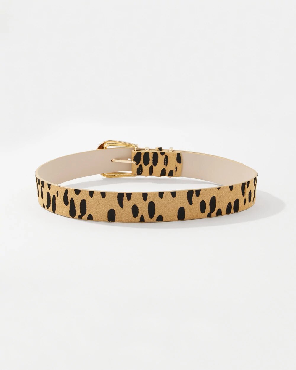 WHBM_Dotted20Haircalf20Belt_570404547_NEU007351_TT_ALT201.jpeg