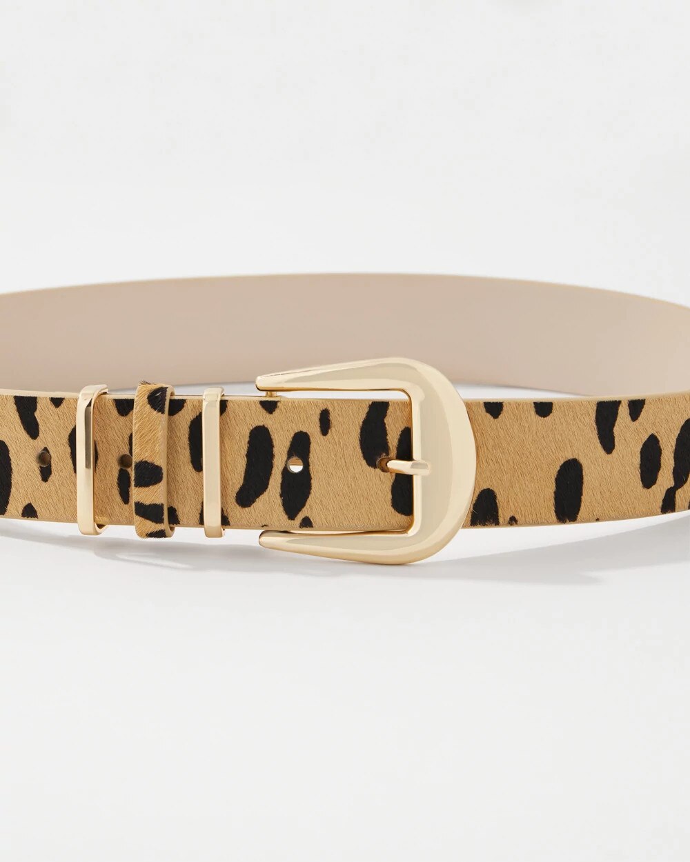 WHBM_Dotted20Haircalf20Belt_570404547_NEU007351_TT_ALT202.jpeg