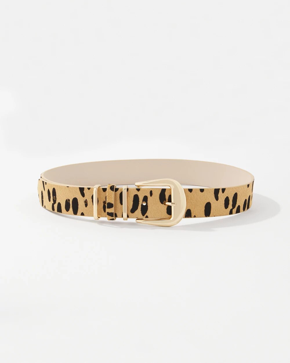 WHBM_Dotted20Haircalf20Belt_570404547_NEU007351_TT_MAIN.jpeg