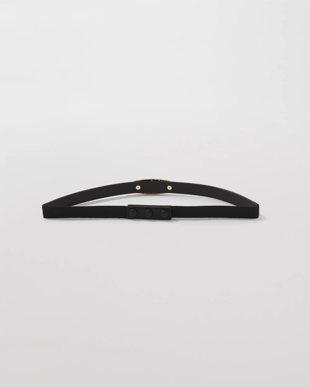 WHBM_Dusted20Pave20Waist20Belt_570399518_BLK000001_TT_ALT201.jpeg