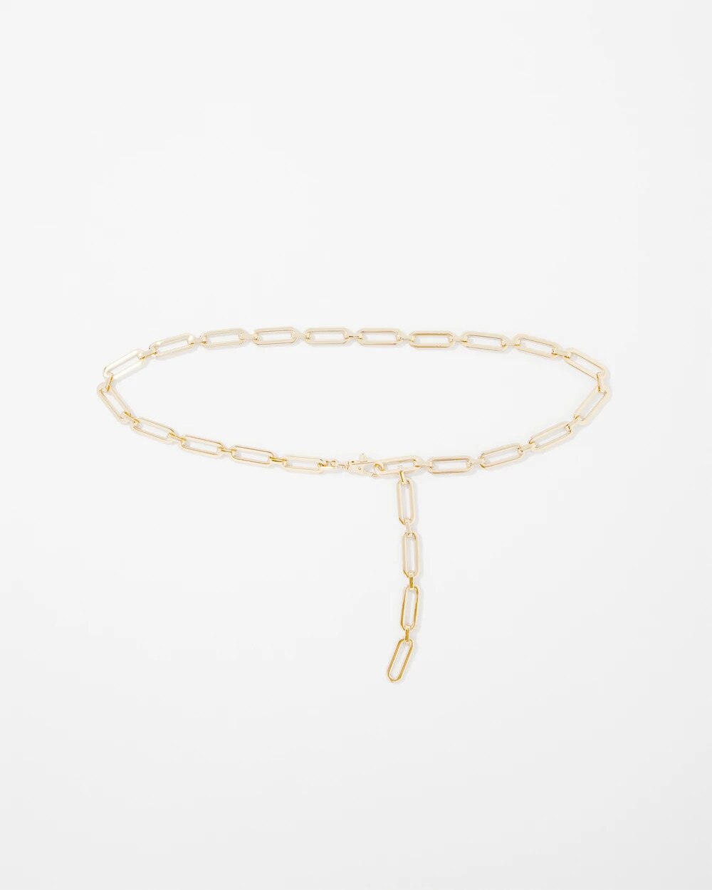 WHBM_Elongated20Link20Chain20Belt_570394474_TAN000932_TT_MAIN.jpeg
