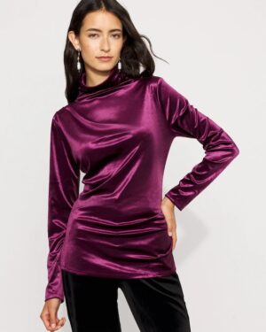WHBM FORME Long Sleeve Velvet Top